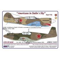 AML C2013 P-40K & Mustang Mk.I - Americans in Stalin's Sky,Part VII (1:32)