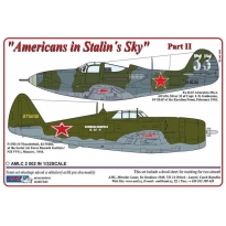 AML C2002 Airacobra Mk.I & P-47D-10 - Americans in Stalin's Sky,Part II (1:32)