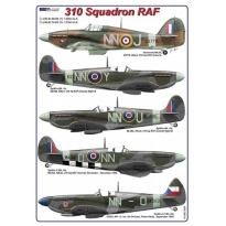 AML D48040 310 Squadron RAF (1:48)