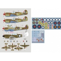 DK Decals 48P03 John L. Waddy and his aircraft (1:48)