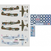 DK Decals 48P04 Richard Creswell and his aircraft (1:48)