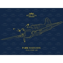 Eduard R0024 P-40K Warhawk Dual Combo Royal Class (1:48)