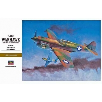 Hasegawa 08879 P-40E Warhawk (1:32)