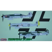 Focke - Wulf Ta-152S-1 German training aircraft (1:72)