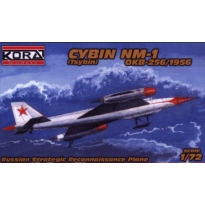 Cybin NM-1 (1:72)