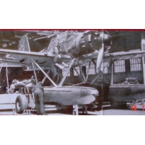 Transport Carriage for Arado Ar 196: konwersja (1:72)