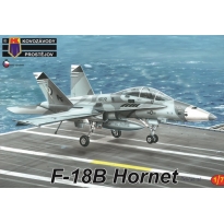 F-18B Hornet (1:72)