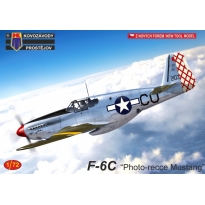 F-6C "Photo-recce Mustang“ (1:72)