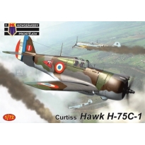 Curtiss Hawk H-75C-1 (1:72)