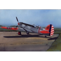 Curtiss YP-37 (1:48)