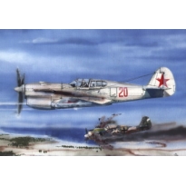 Curtiss P-40E Klimov (1:72)