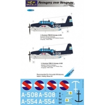 Grumman TBF Avenger over Uruguay part I. (1:48)