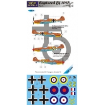 Captured Bf 109F Part I. (1:48)