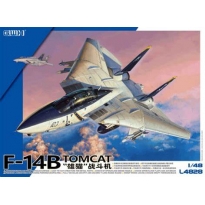 US Navy F-14B Tomcat (1:48)