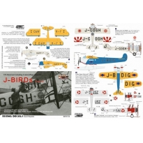 Rising Decals 72115 J-BIRDs IV. Camouflage schemes and decals for Japanese civil aircraft (decals for 4 a/c) (1:72)