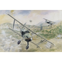 Arado Ar 68E (1:48)
