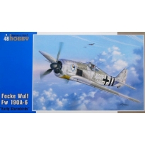 Focke Wulf Fw 190A-6 "Early Sturmbirds" (1:48)