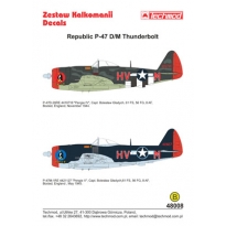 Republic P-47D/M Thunderbolt (1:48)