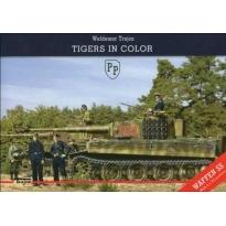 Tiger's in Color