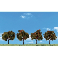 Drzewka owocowe - Jabłonie 4 szt. (5.08 cm - 7.62 cm)