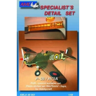 AML A48003 Curtiss H75A (PUR control surfaces) (1:48)