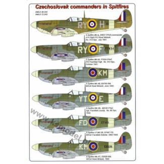 AML D48034 Czechoslovak commanders in Spitfires (1:48)