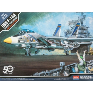 Academy 12563 USN F-14A VF-143 "Pukin Dogs" (1:72)