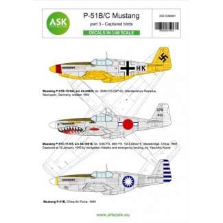 ASK D48061 P-51B/C Mustang part 3 - Captured birds (1:48)