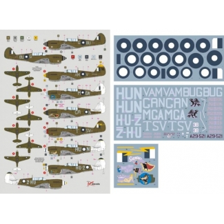 DK Decals 32024 P-40N in RAAF service (1:32)