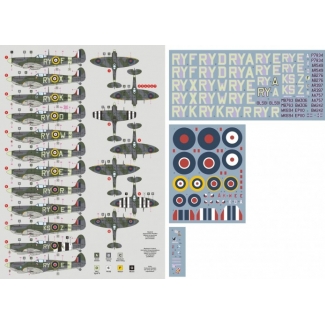 DK Decals 48035 No.313 (Czechoslovak) Sqn. P.II (1:48)