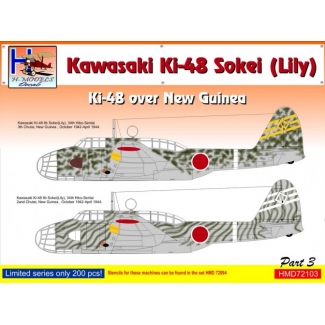 Kawasaki Ki-48 over New Guinea, Pt.3 (1:72)