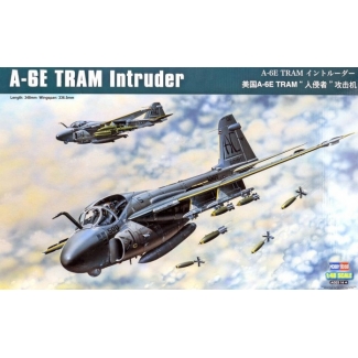 Hobby Boss 81710 A-6E TRAM Intruder (1:48)