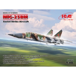 MiG-25 BM, Soviet Strike Aircraft (1:48)
