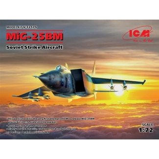 MiG-25 BM, Soviet Strike Aircraft (1:72)