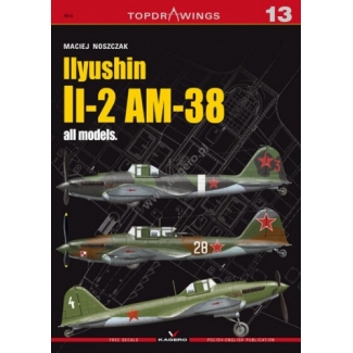 Kagero 7013 Ilyushin Il-2 AM-38 all Models