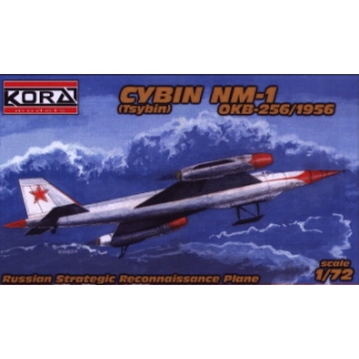 Cybin NM-1 (1:72)