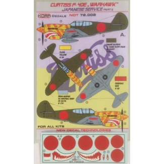 Curtiss P-40E Japanese II (1:72)