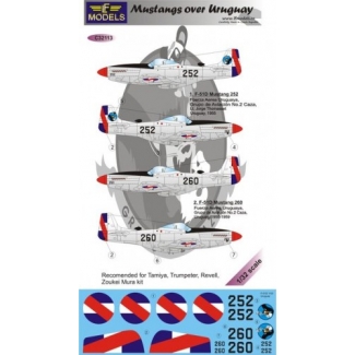 Mustangs over Uruguay (1:32)
