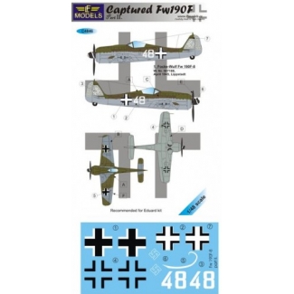 Captured Fw 190F part II. (1:48)