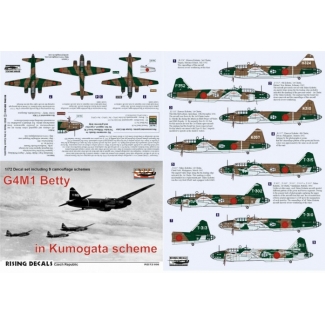 Rising Decals 72106 Betty in Kumogata Scheme (1:72)