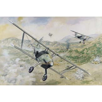 Arado Ar 68E (1:48)