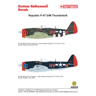 Republic P-47D/M Thunderbolt (1:48)